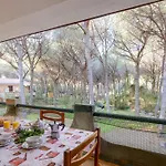 Del Maestro *