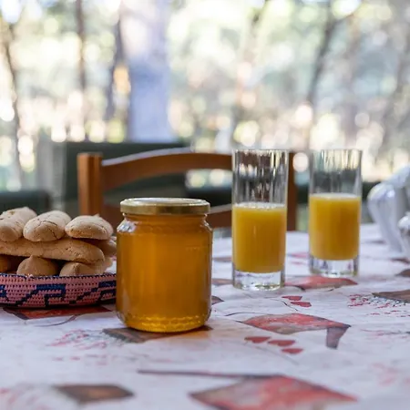 Del Maestro * Narbolia