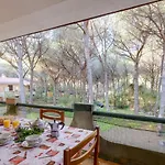 Del Maestro * Narbolia